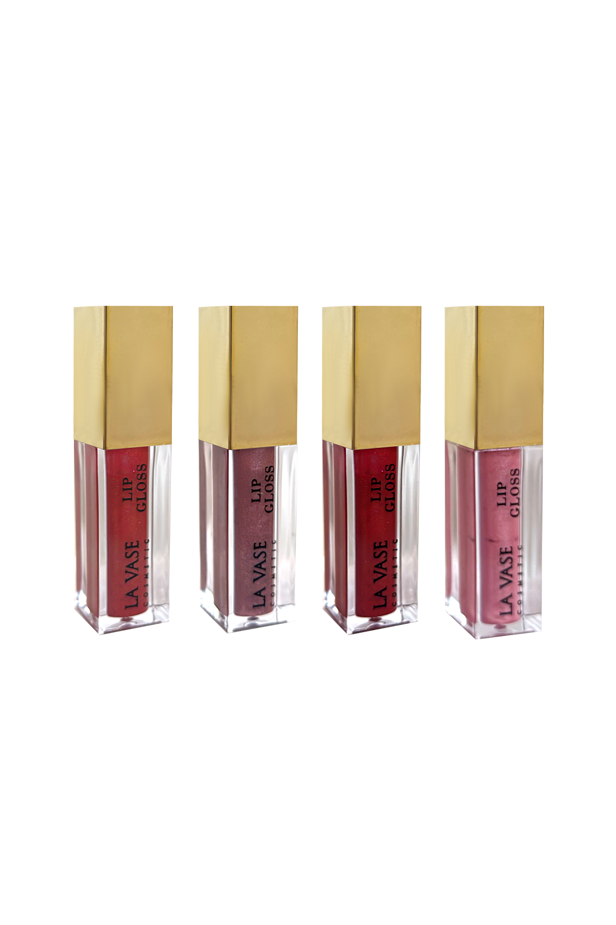 La Vesa 4'lü Lip Gloss Set